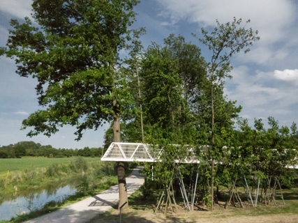 Baubotanischer Steg Kamen