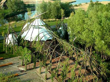 Willow Dome